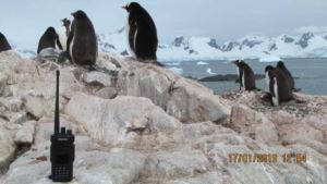 Ailunce HD1 Used On the South Pole Chilean Antarctic Zone doloremque