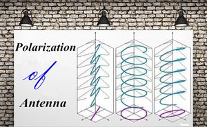 Polarization of Antennna doloremque