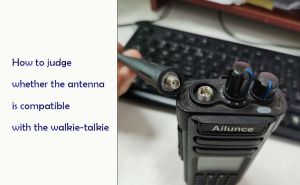 How to judge whether the antenna is compatible with the walkie-talkie doloremque