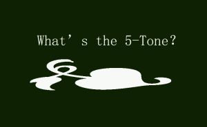 What's 5-tone? doloremque