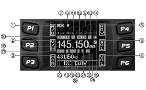 Introduction of Retevis RT95 Display Icons doloremque