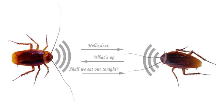 ailunce antenna