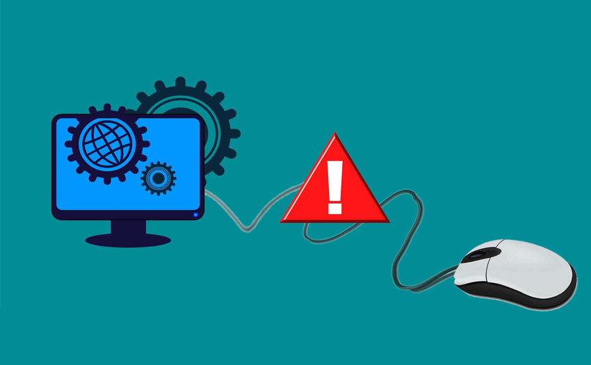 Program Software Notice for DMR Newie