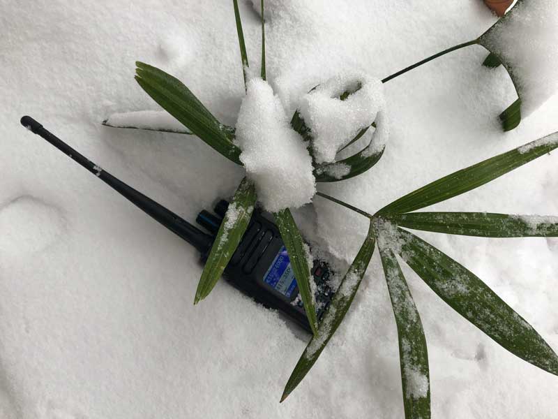 ailunce-snow-6.jpg ailunce-snow-6.jpg