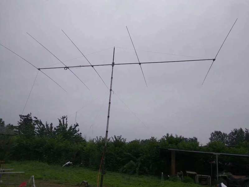 Ailunce-2.jpg Ailunce-2.jpg