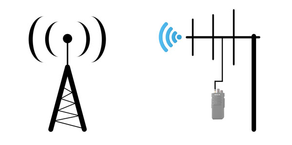 AY01-1.jpg AY01-1.jpg