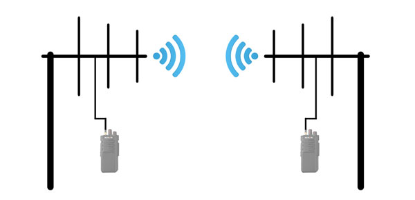 AY01-2.jpg AY01-2.jpg