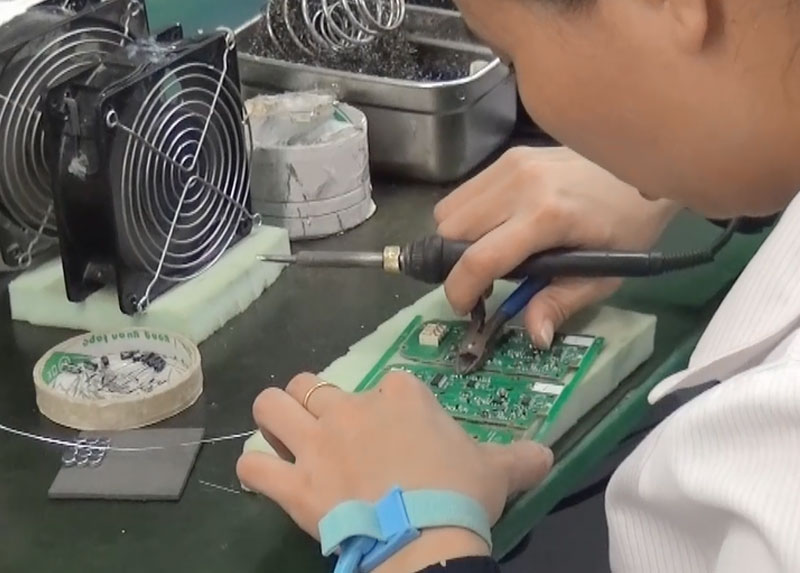 Prune-ailunce.jpg Prune-ailunce.jpg