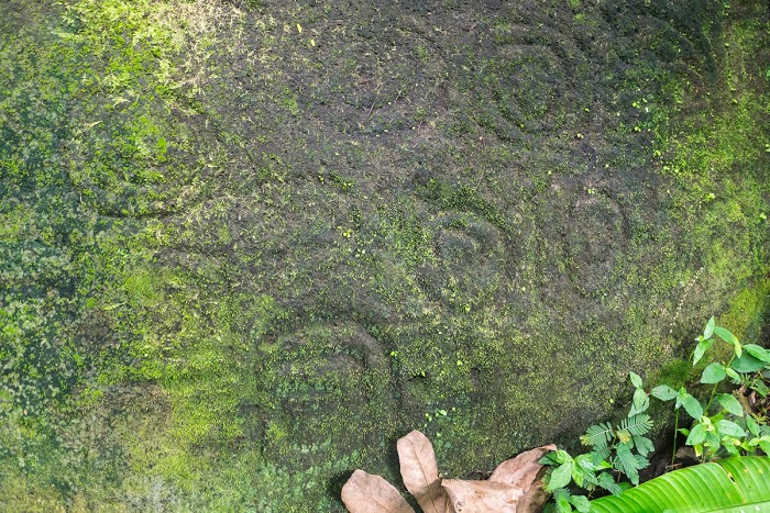 tx7t-marquesas.jpg tx7t-marquesas.jpg