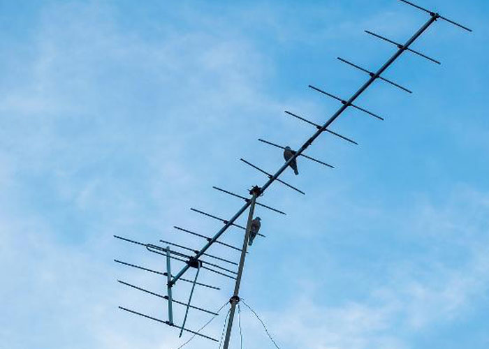Short_Wave_Antenna_0.jpg Short_Wave_Antenna_0.jpg