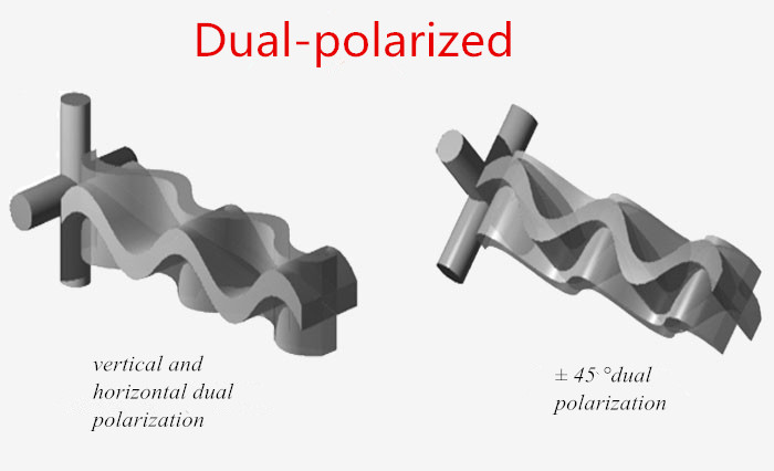 Dual Polarized-Ailunce.jpg